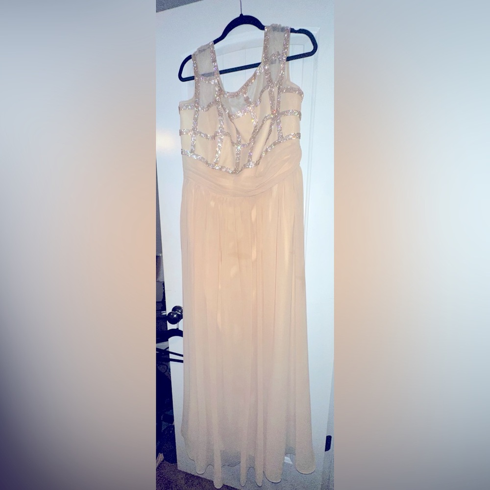 NEW Champagne 👗